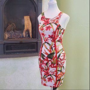 Papaya Tropical Bodycon Dress